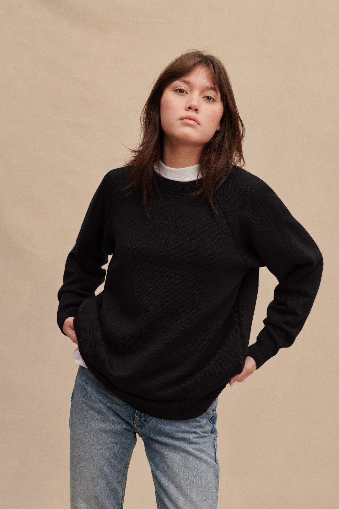 Sweatshirts and hoodies collection | Le Minor