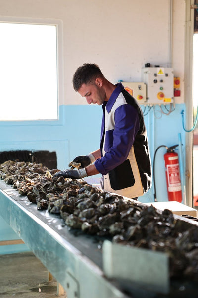 Men's cotton moleskin work jacket - Le Minor x Le Laboureur